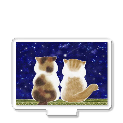 猫と星空 Acrylic Stand