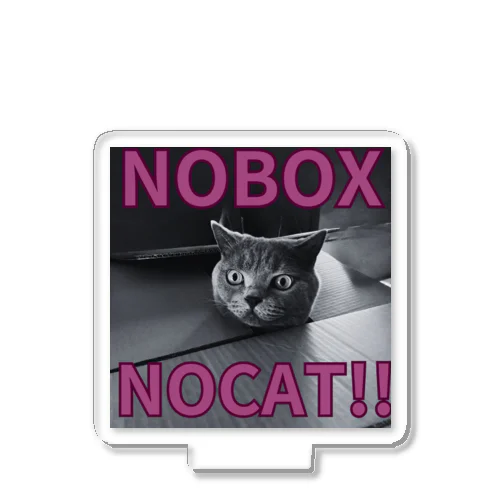 NOBOX NOLIFE!! アクリルスタンド