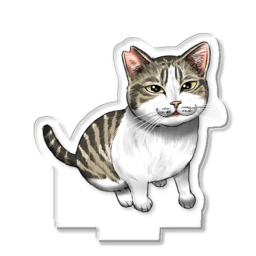 猫#ねこ#ネコ#猫イラスト Acrylic Stand Gifts ∞ SUZURI