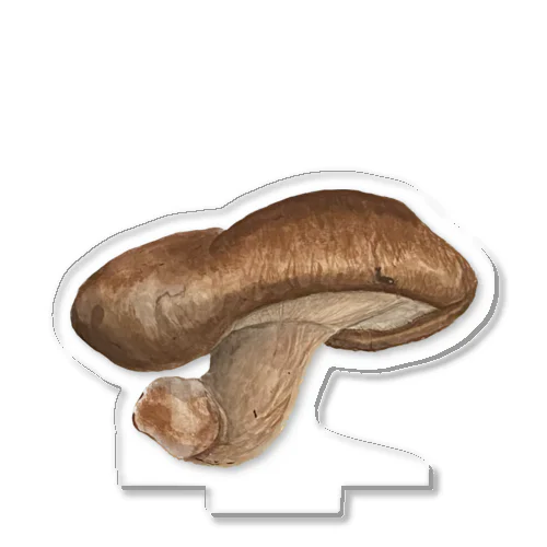 しいたけ/Shiitake mushroom アクリルスタンド