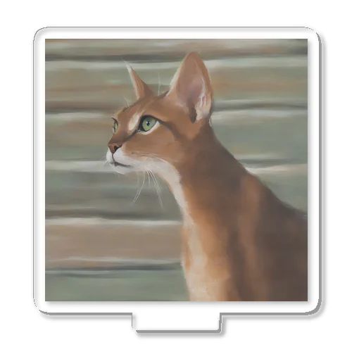 アビシニアン　Abyssinian cat Acrylic Stand