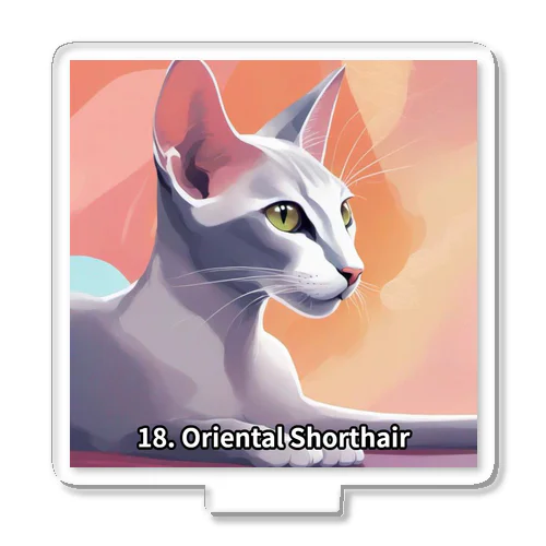 猫の品種シリーズ　オリエンタルショートヘア アクリルスタンド
