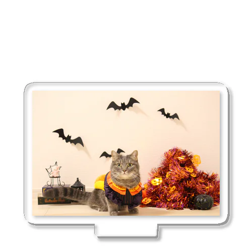 【アクアとフランマ】アクアちゃんアクリルスタンドVer2023年ハロウィン Acrylic Stand