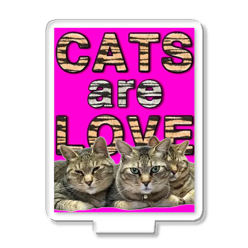 CATS are LOVE Acrylic Stand
