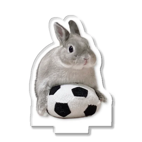 うさぎとサッカー⚽️ アクリルスタンド