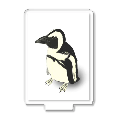 ケープペンギン Acrylic Stand
