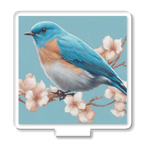 beautiful blue bird アクリルスタンド