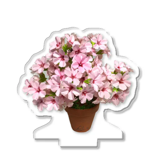 折り紙桜（文字なし） Acrylic Stand