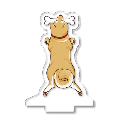 骨ブラ柴犬 Acrylic Stand