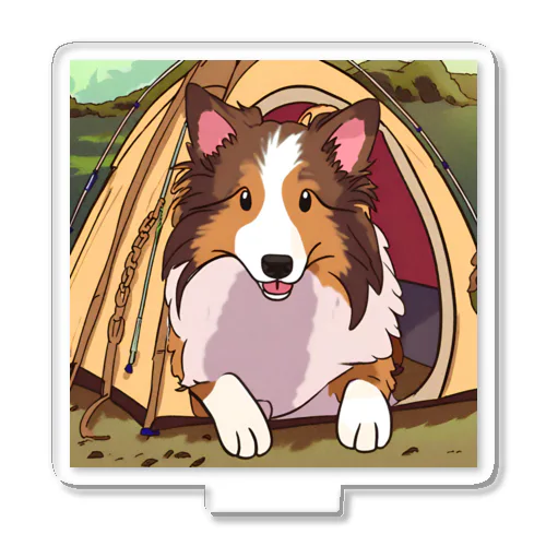 camper's dog  シェットランドシープドッグ　イラスト アクリルスタンド