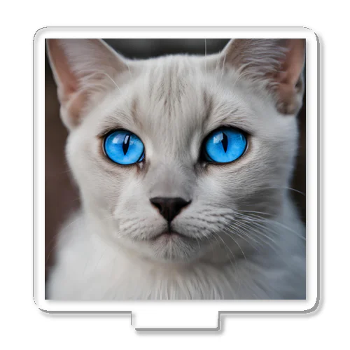 青目の猫 アクリルスタンド