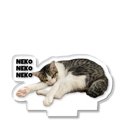  NEKO NEKO NEKO パウちゃん Acrylic Stand