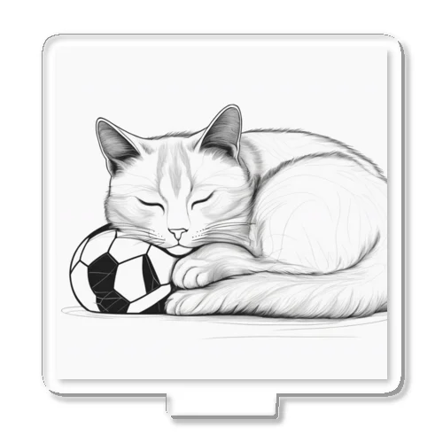 サッカーボールと猫 アクリルスタンド