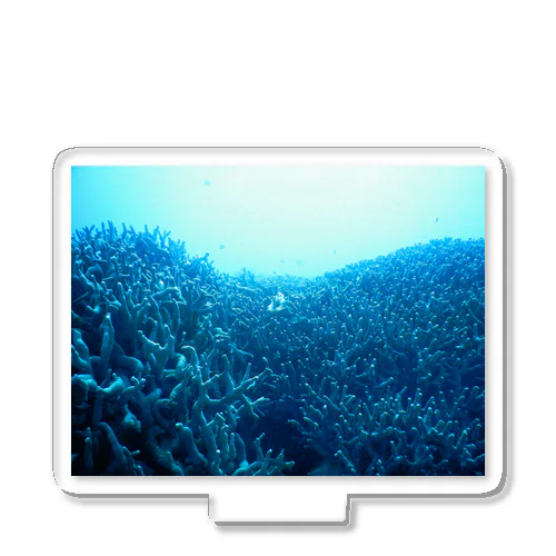 青い珊瑚礁 アクリルスタンド