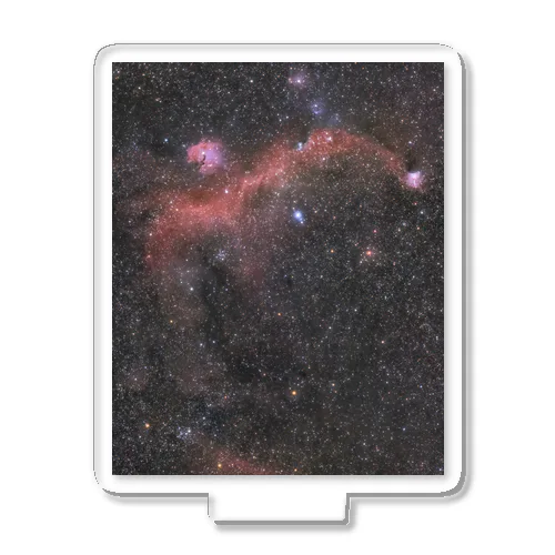 カモメ星雲 アクリルスタンド