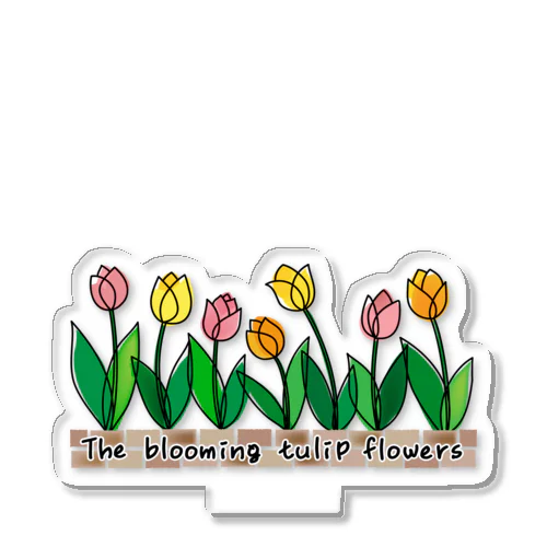 The blooming tulip flowers アクリルスタンド