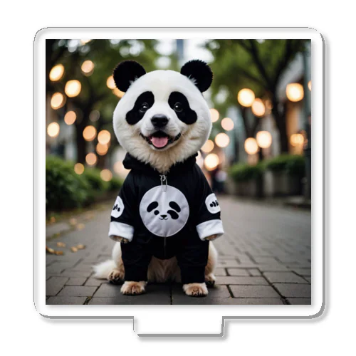 パンダの着ぐるみを着た犬 Acrylic Stand