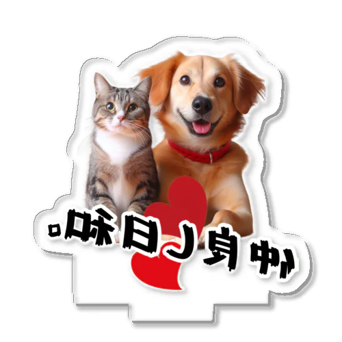 犬と猫の仲良し日和 アクリルスタンド