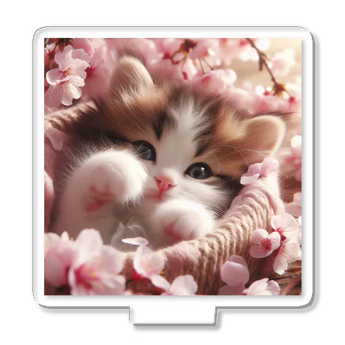 桜と子猫 Acrylic Stand