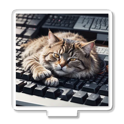 猫とキーボード アクリルスタンド