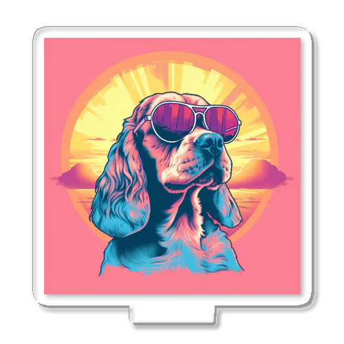 cocker sunset Acrylic Stand