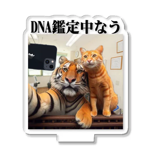 DNA鑑定中なう アクリルスタンド