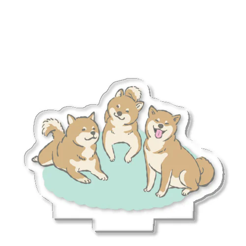 柴犬の芝居 Acrylic Stand