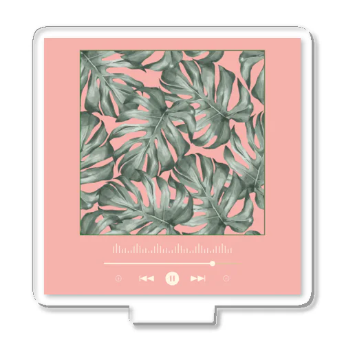 モンステラ / Monstera × Music Player Pink【四角】 アクリルスタンド Acrylic Stand