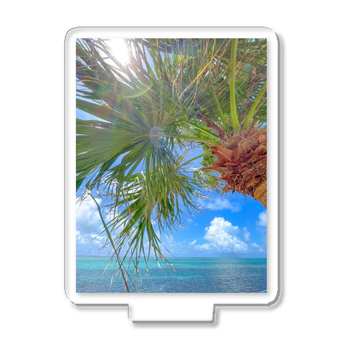 shimmering tropics Acrylic Stand