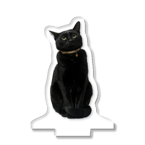 リアル黒猫マメちゃんグッズ Acrylic Stand