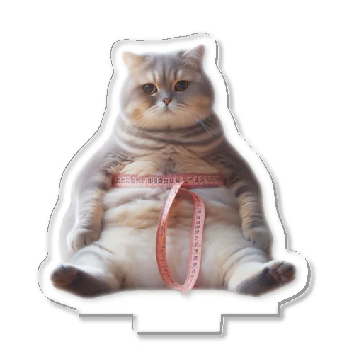 ダイエット中の猫 Acrylic Stand