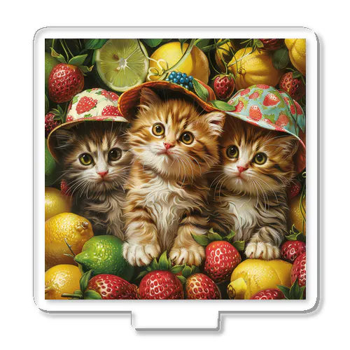 子猫のフルーツの楽園　なでしこ1478 Acrylic Stand