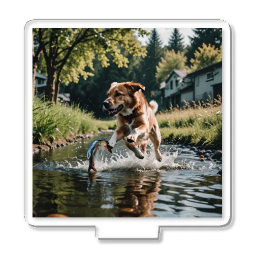 水辺を走る犬 dog runnning on the water Acrylic Stand