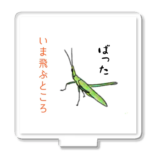 しんぼるず→ばった アクリルスタンド