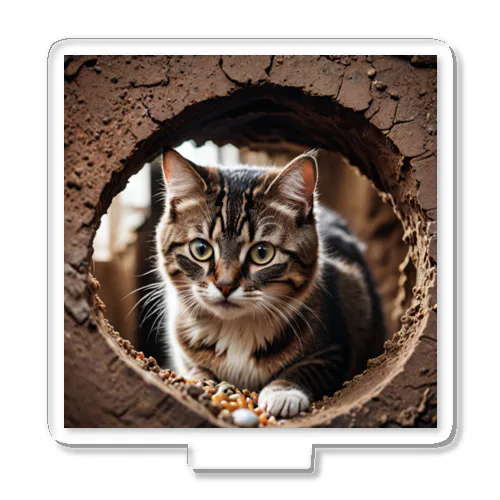 穴から覗く猫 アクリルスタンド