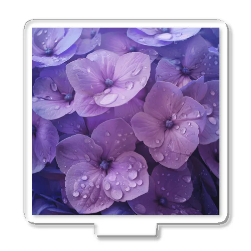 雨に濡れる　紫陽花 Acrylic Stand