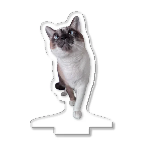 ねこのミュシャ Acrylic Stand