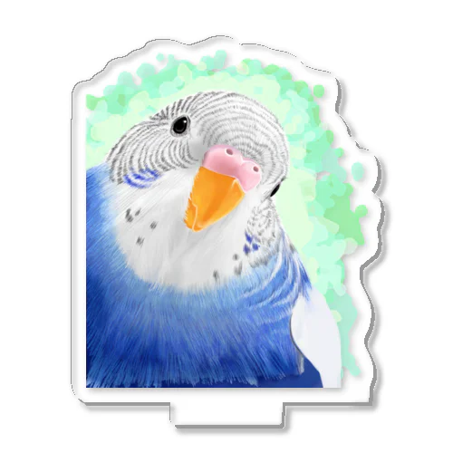 セキセイインコ　オパーリン大【まめるりはことり】 Acrylic Stand