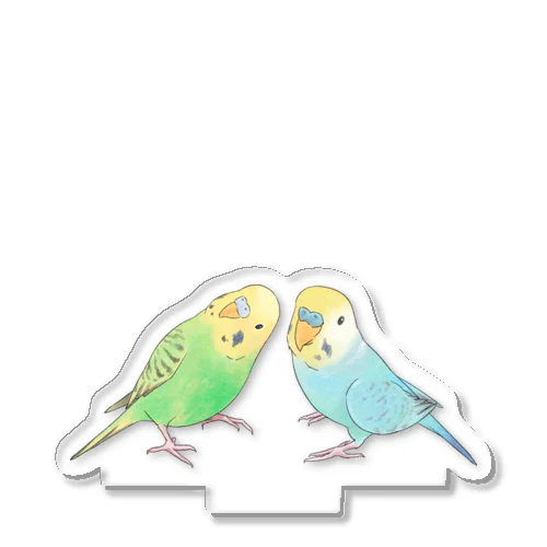 セキセイインコ　ちょこんとせきせいんこーず【まめるりはことり】 アクリルスタンド