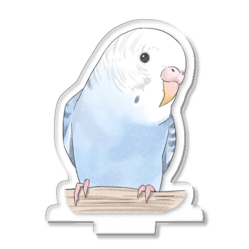 おしゃまな止まり木セキセイインコちゃん【まめるりはことり】 Acrylic Stand