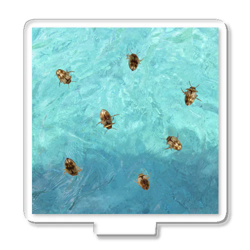 海を泳ぐチャイロチビゲンゴロウ アクリルスタンド