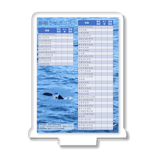鯨類ライフリスト アクリルスタンド