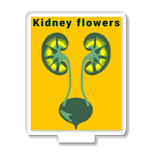 Kidney flowers Acrylic Stand