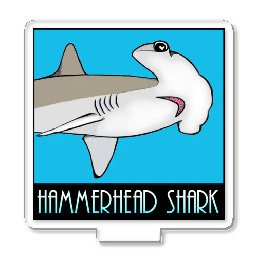 Hammerhead shark(撞木鮫) アクリルスタンド