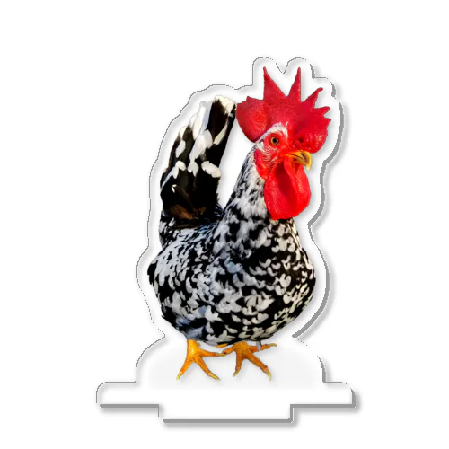 碁石矮鶏🐓 Acrylic Stand