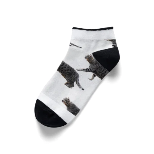 CAT WALK Ankle Socks