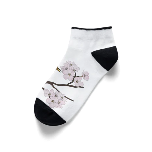 桜にウグイス Ankle Socks