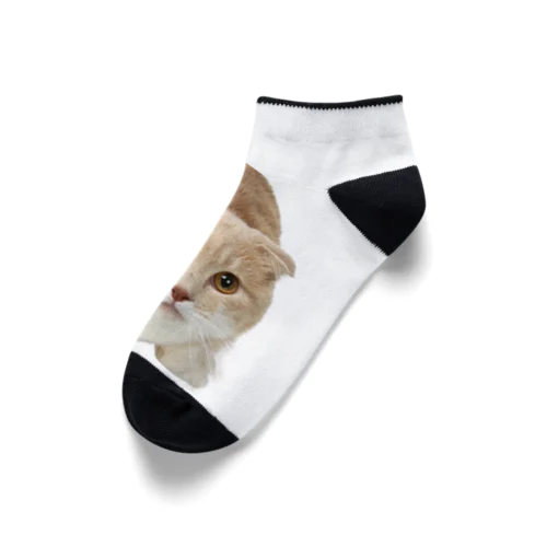 マンチカン　ツナ Ankle Socks