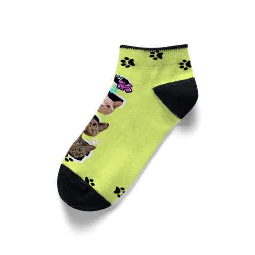 TikTok猫部くるぶしソックス Ankle Socks