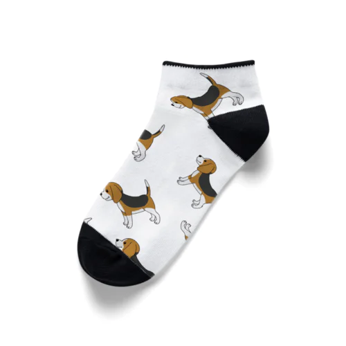 beagle　ソックス Ankle Socks